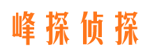 武隆寻人公司